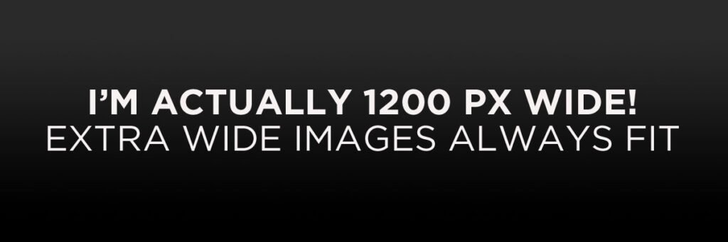 Image Alignment Content Placeholder 04 1024x341
