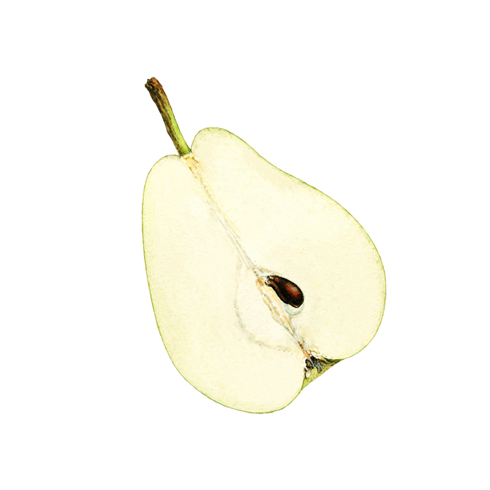 Media Embeds & Demo Patterns Contentpattern Pear Half