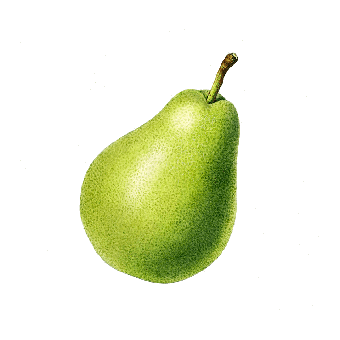 Media Embeds & Demo Patterns Contentpattern Pear