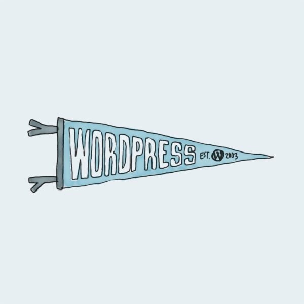 Media Embeds & Demo Patterns pennant 1.jpg